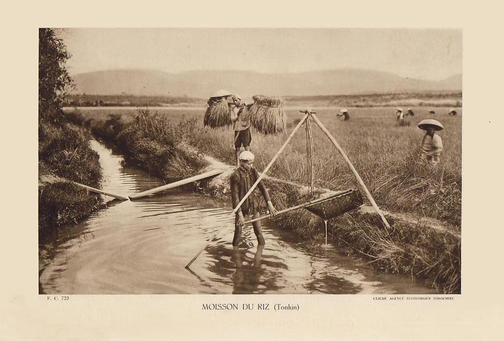 « Les Vietnamiens plantent le riz, les Cambodgiens regardent pousser le riz, les Laotiens écoutent pousser le riz »