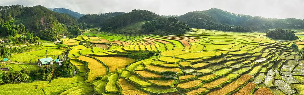 Mang Den Vietnam Mang Den - 10 choses à faire et guide de voyage