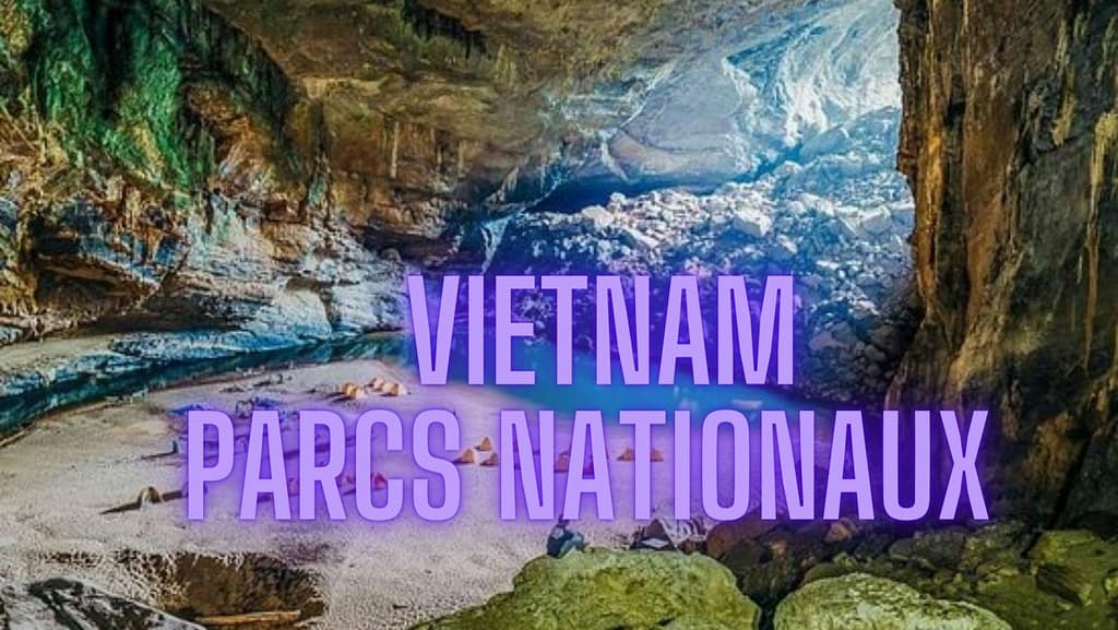 Parcs nationaux du Vietnam qui méritent une visite Parcs nationaux du Vietnam qui méritent une visite