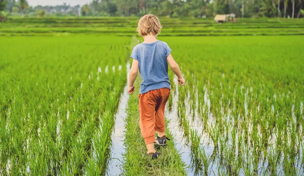 Vietnam en juillet Hoi An avec des enfants