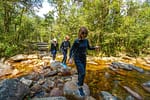 Applications les plus efficaces pour faciliter votre voyage au Vietnam La cascade d'amour