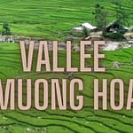 Guide de voyage : Ta Van et Lao Chai dans la vallée de Muong Hoa, Sapa Guide de voyage : Ta Van et Lao Chai dans la vallée de Muong Hoa, Sapa