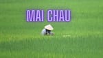 Guide de voyage Mai Chau 2022 : Choses à faire à Mai Chau Mai Chau