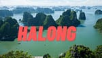 Tout savoir sur La baie d'Halong, incontournable et unique en son genre au Vietnam baie d'Halong