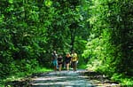 Conseils de Voyage Vietnam en janvier Que faire ? MEILLEURS ENDROITS A VISITER AU VIETNAM EN JANVIER parc national de Cuc Phuong