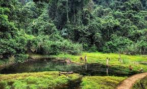 parc national de Cuc Phuong