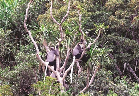 parc national Nui Chua