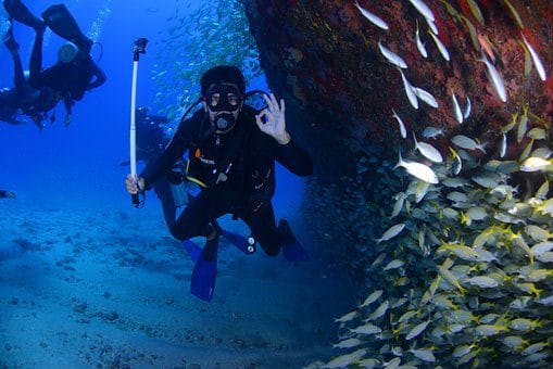 Da Nang ou Nha Trang Plongée sous-marine à Nha Trang : Tout ce que vous devez savoir