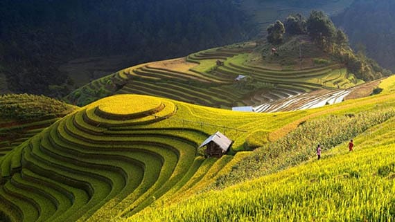 Le moment idéal pour visiter Mu Cang Chai - la période des pluies