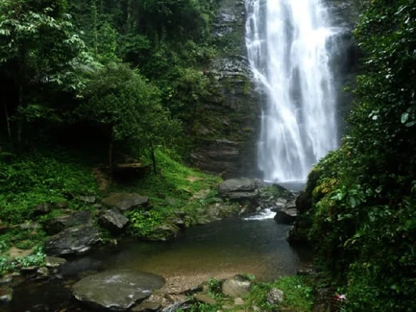 parc national de Pu Mat au Vietnam