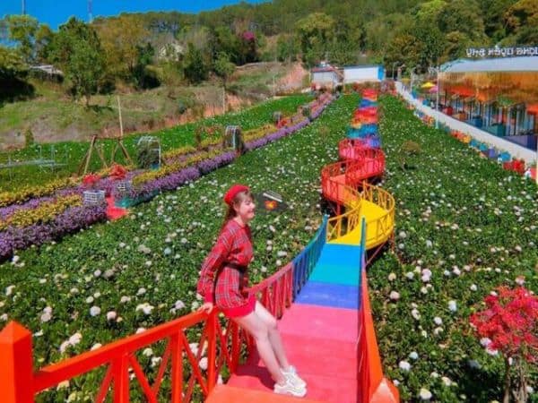 Itinéraire de 3 jours à Dalat : Que faire à Dalat en 3 jours ? Itinéraire de 3 jours à Dalat : Que faire à Dalat en 3 jours ?