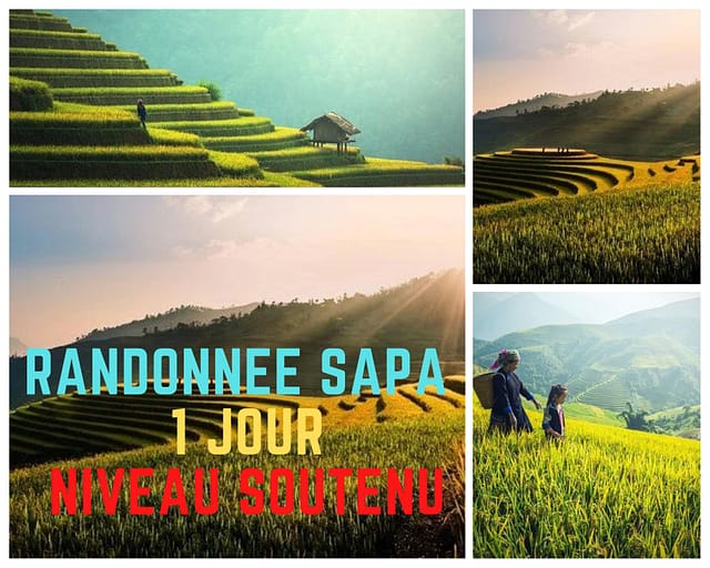 Faut-il faire un trekking à Sapa sans guide ou non ? Sapa Trekking 1 jour : Un jour de trek autour de Tavan , hors sentiers battus , niveau soutenu