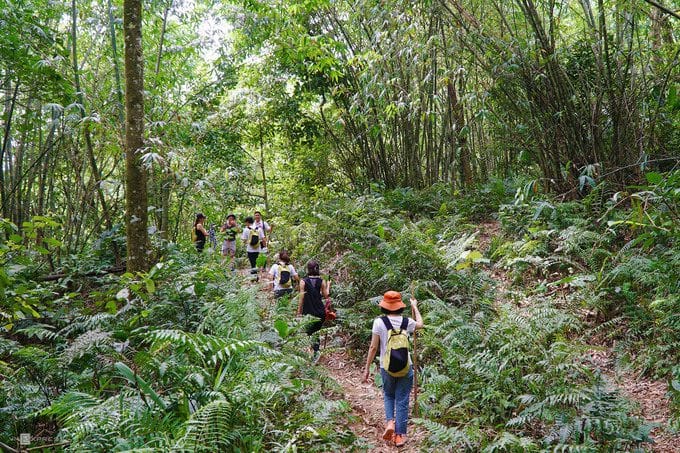parc national de Ba Vi
