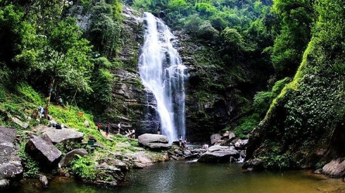 Vietnam en juillet parc national de Pu Mat au Vietnam