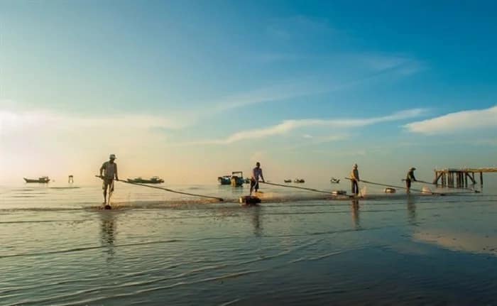 La campagne de Hoi An Tan Thanh, une des plages les plus relaxantes de Hoi An