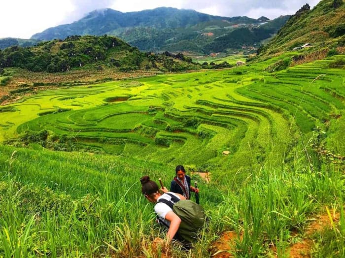 Quelle est la meilleure période pour partir en randonnée à Sapa ? Quelle est la meilleure période pour partir en randonnée à Sapa ?