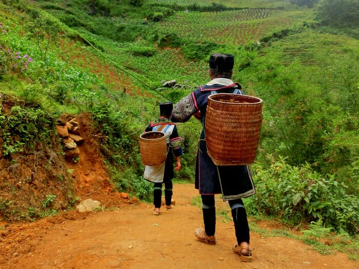 Randonnée Sapa 5 Jours Trek Niveau soutenu avec guide francophone: Vallée de Muong Hoa et Vallée de Ban Ho