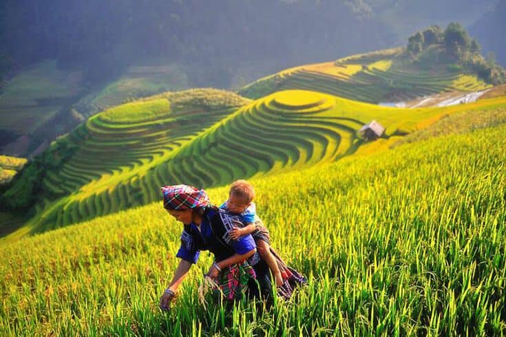 Sapa en avril : Météo et choses à faire à Sapa en avril