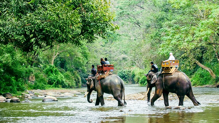 Le parc national de Yok Don