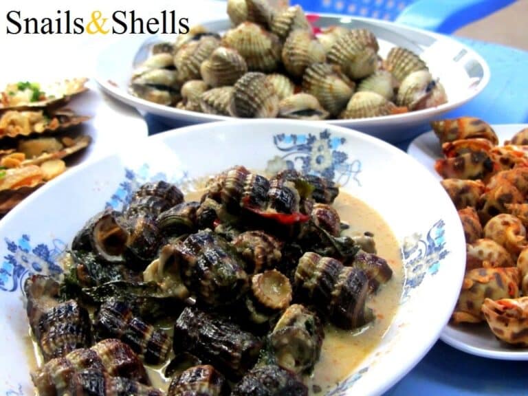 Escargots et crustacés Escargots et crustacés