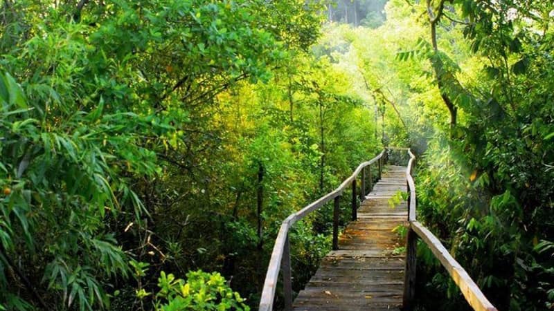 Le parc national de Cat Ba en vaut-il la peine ?