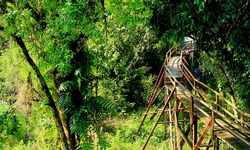 parc national de Cat Tien