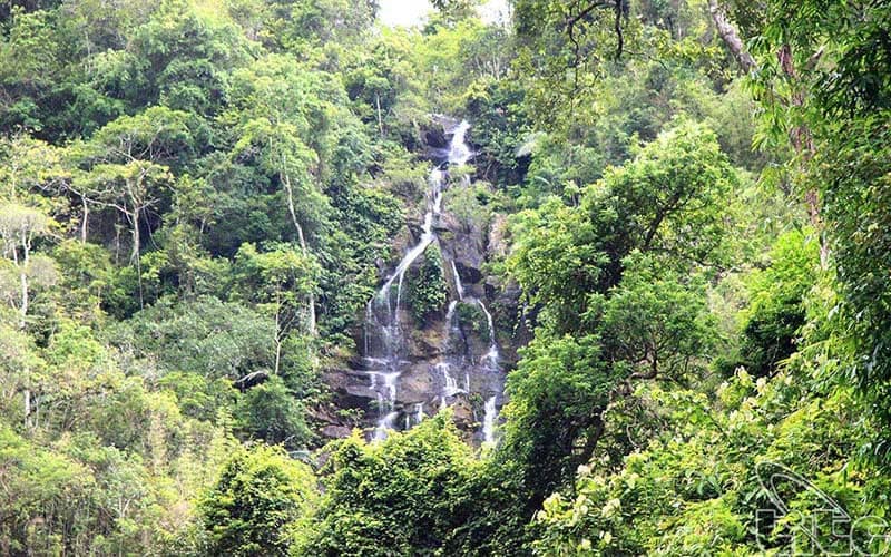 parc national de Pu Mat au Vietnam parc national de Pu Mat au Vietnam