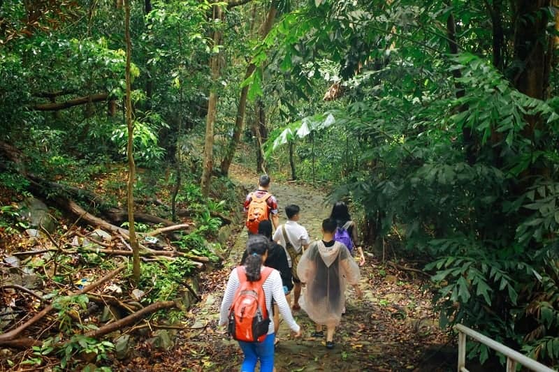Que faire dans le parc national de Con Dao ? Que faire dans le parc national de Con Dao ?