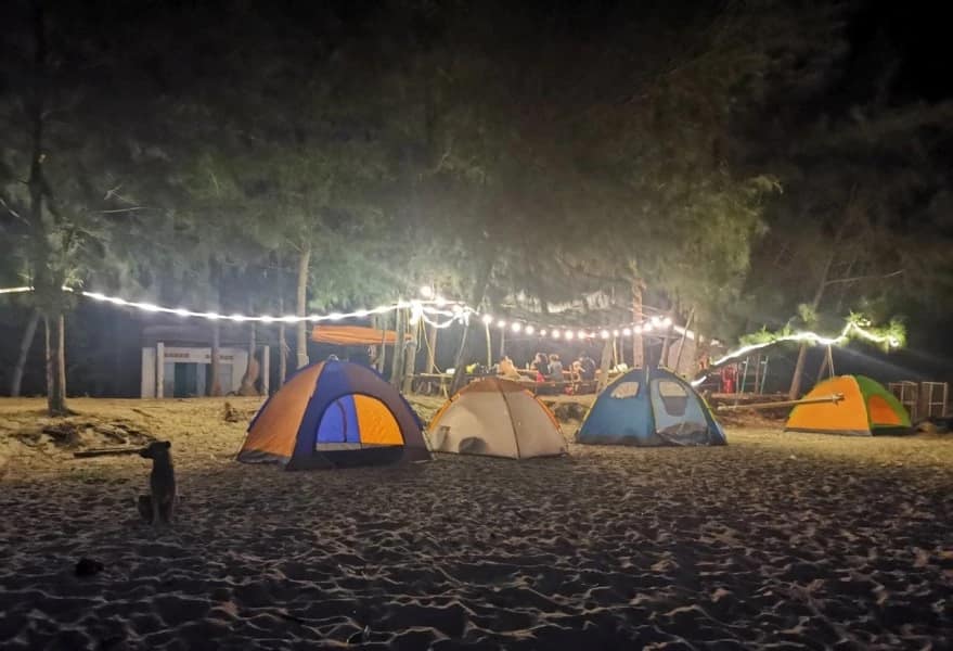 Plage de Tien Sa, un joyau caché de Da Nang Plage de Tien Sa, un joyau caché de Da Nang