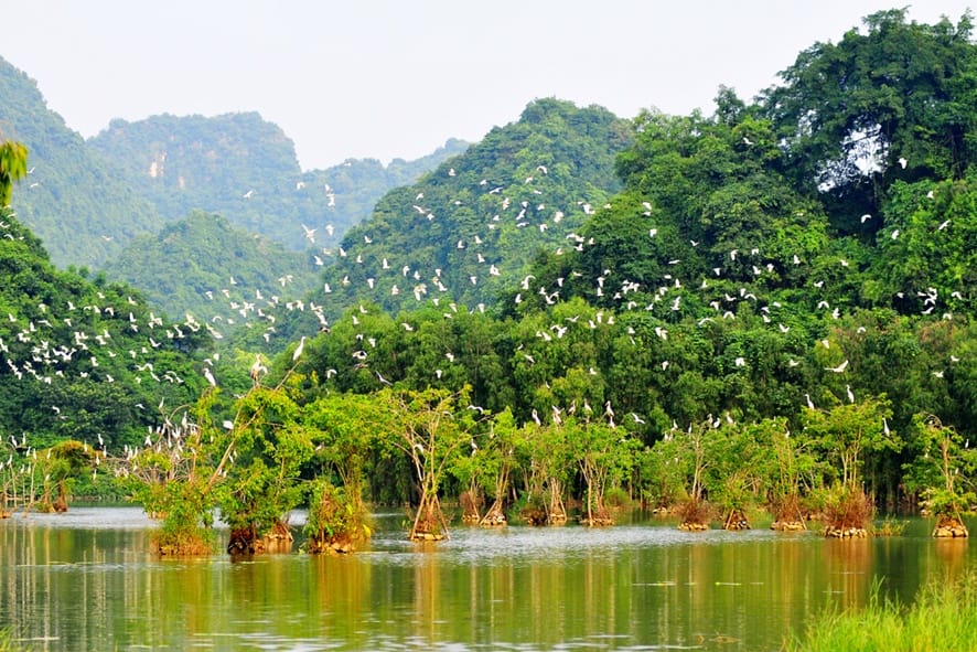Parc ornithologique de Thung Nham Parc ornithologique de Thung Nham