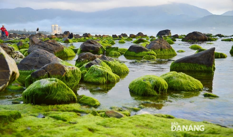 Village de pêcheurs de Nam O, une des destinations touristiques de Da Nang